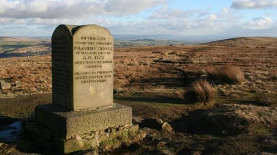 Pilgrims Cross Race 2 Pilgrims Cross 4 539x303 1